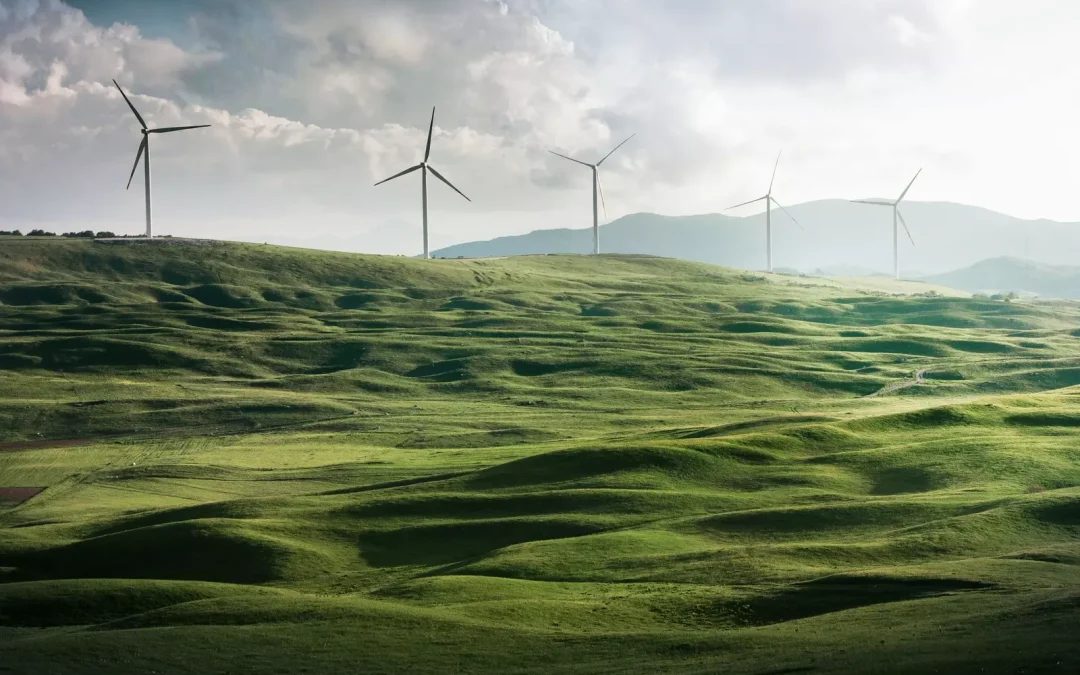 From Launch to Lasting Impact – Making Your Net Zero App Stick