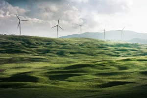 From Launch to Lasting Impact – Making Your Net Zero App Stick