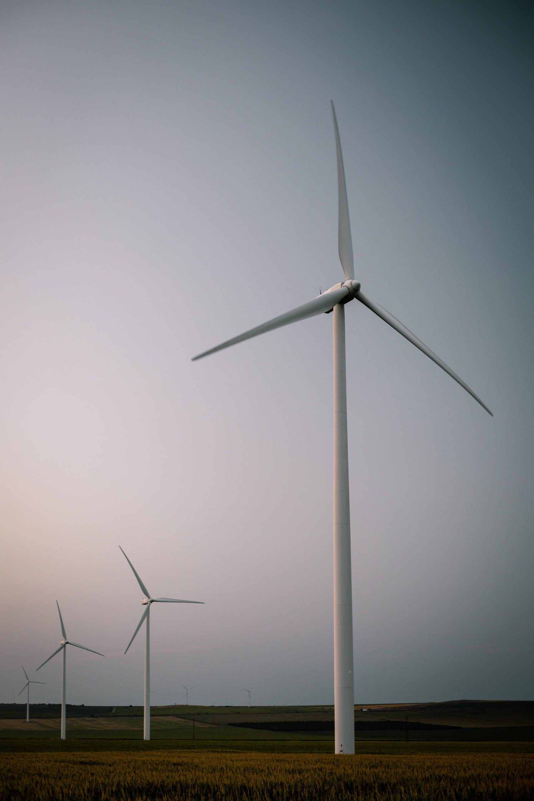 Net Zero Apps
